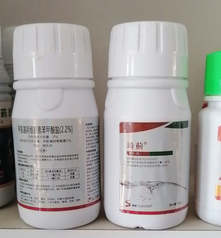 琦薊