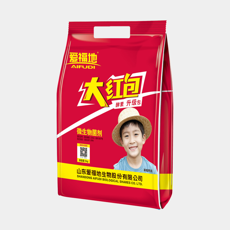 大紅包
