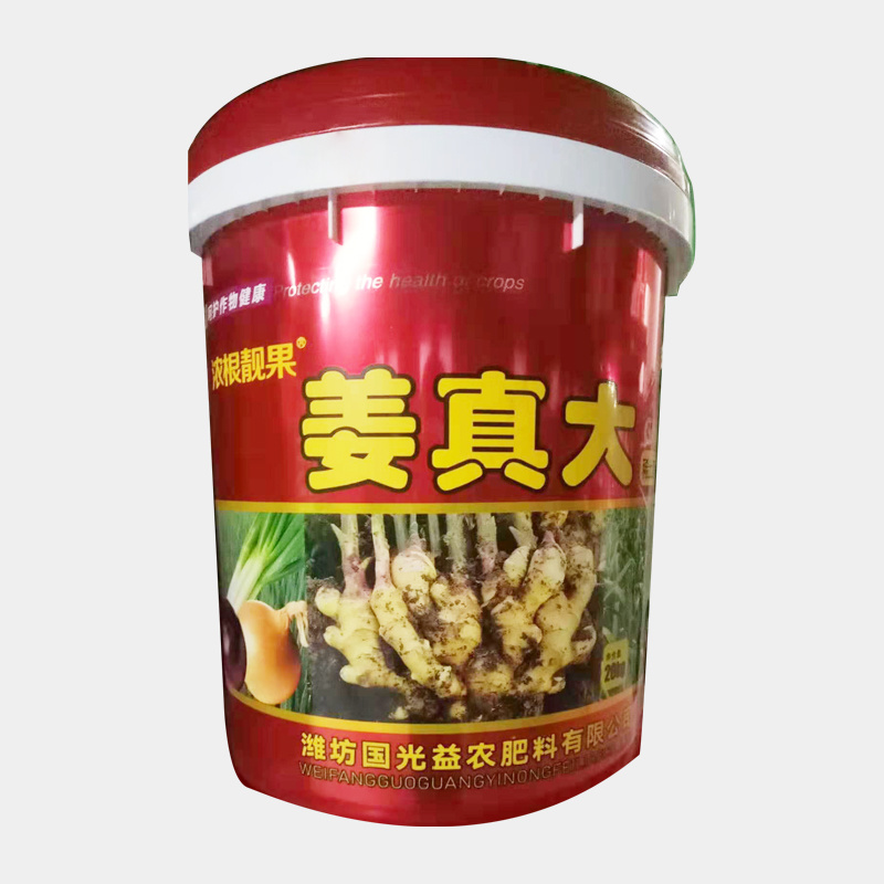 姜真大