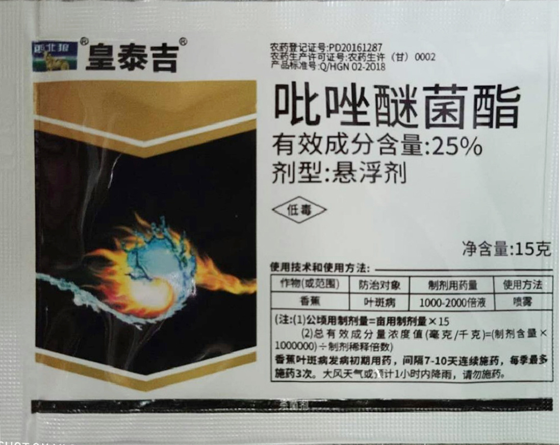 皇泰吉