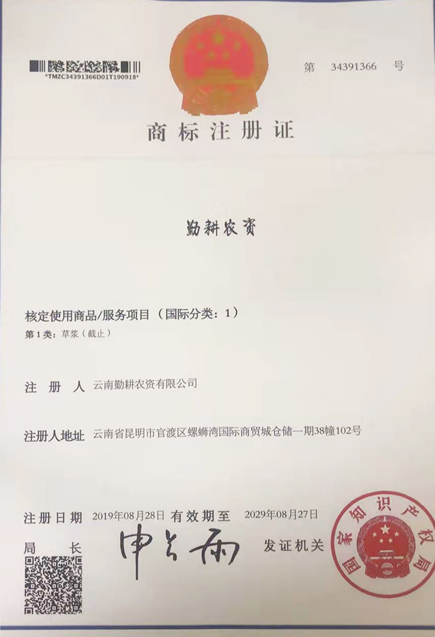 資質(zhì)榮譽