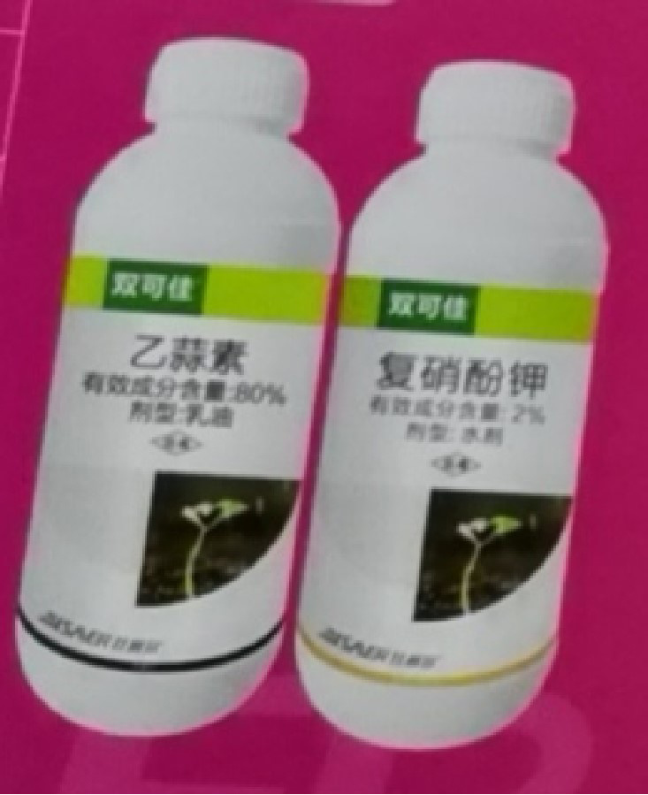 雙可佳