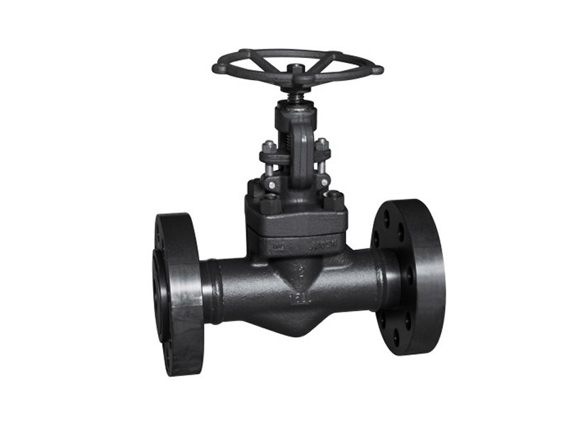 Forged steel flange stop valve