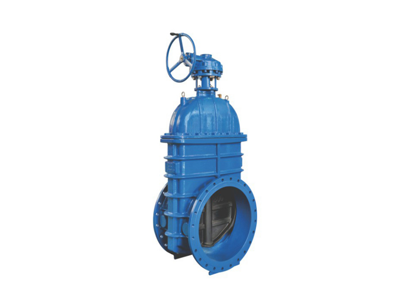 Soft sealing rubber gate valve (non rising stem)