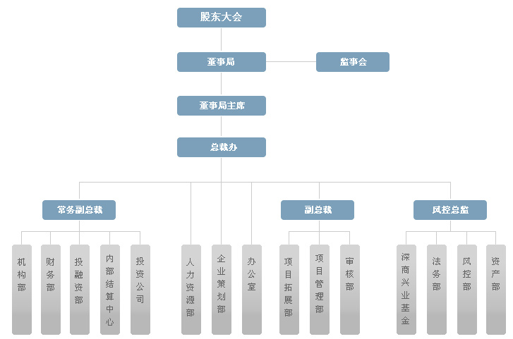 深圳市深商控股集团股份有限公司