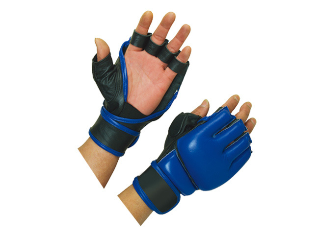 TA-9206 Boxing Gloves