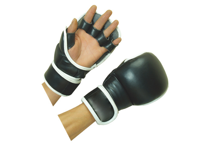 TA-9204 Boxing Gloves