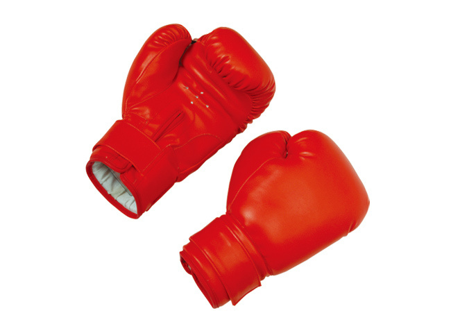 TA-9201 Boxing Gloves