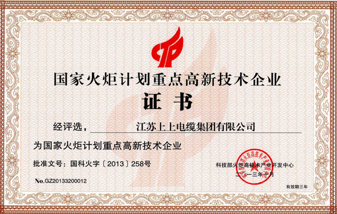 國家火炬計劃重點高新技術企業 國家火炬計劃重點高新技術企業