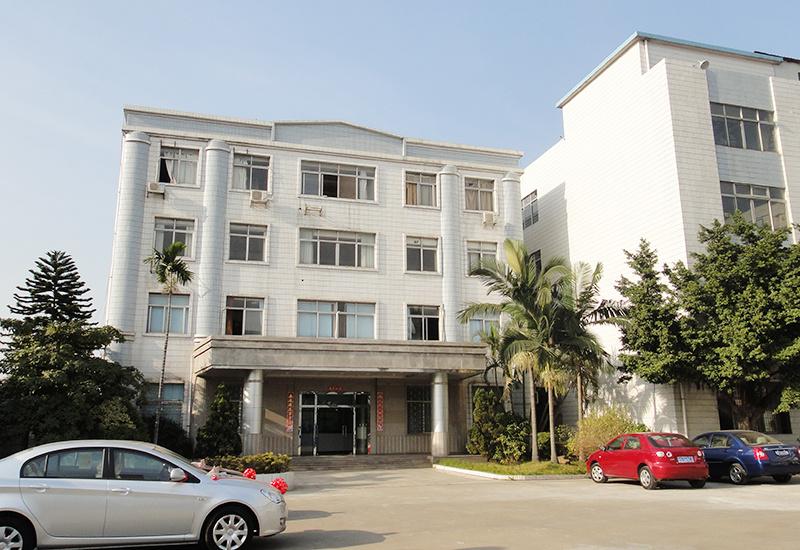 Dongguan city lianfeng motor co ltd factory view