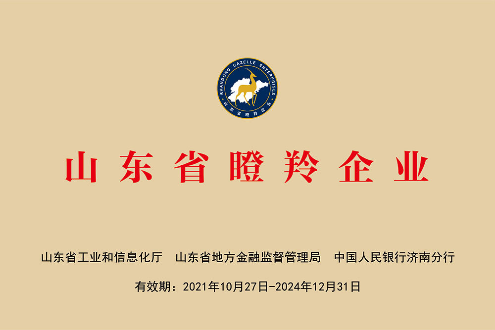 山東省瞪羚企業(yè) 山東省瞪羚企業(yè)