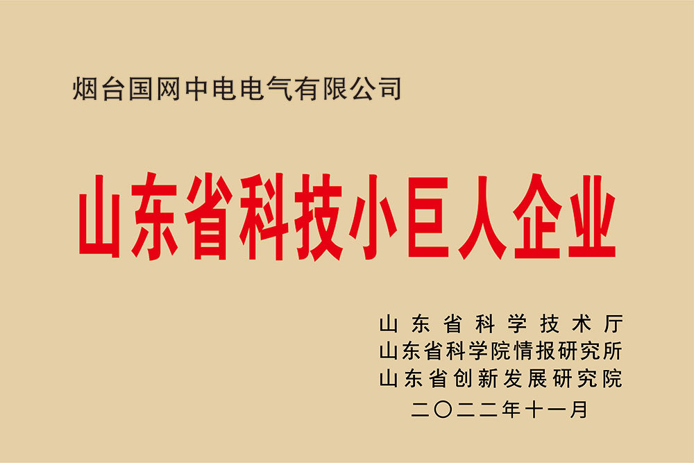 山東省科技小巨人企業(yè) 山東省科技小巨人企業(yè)