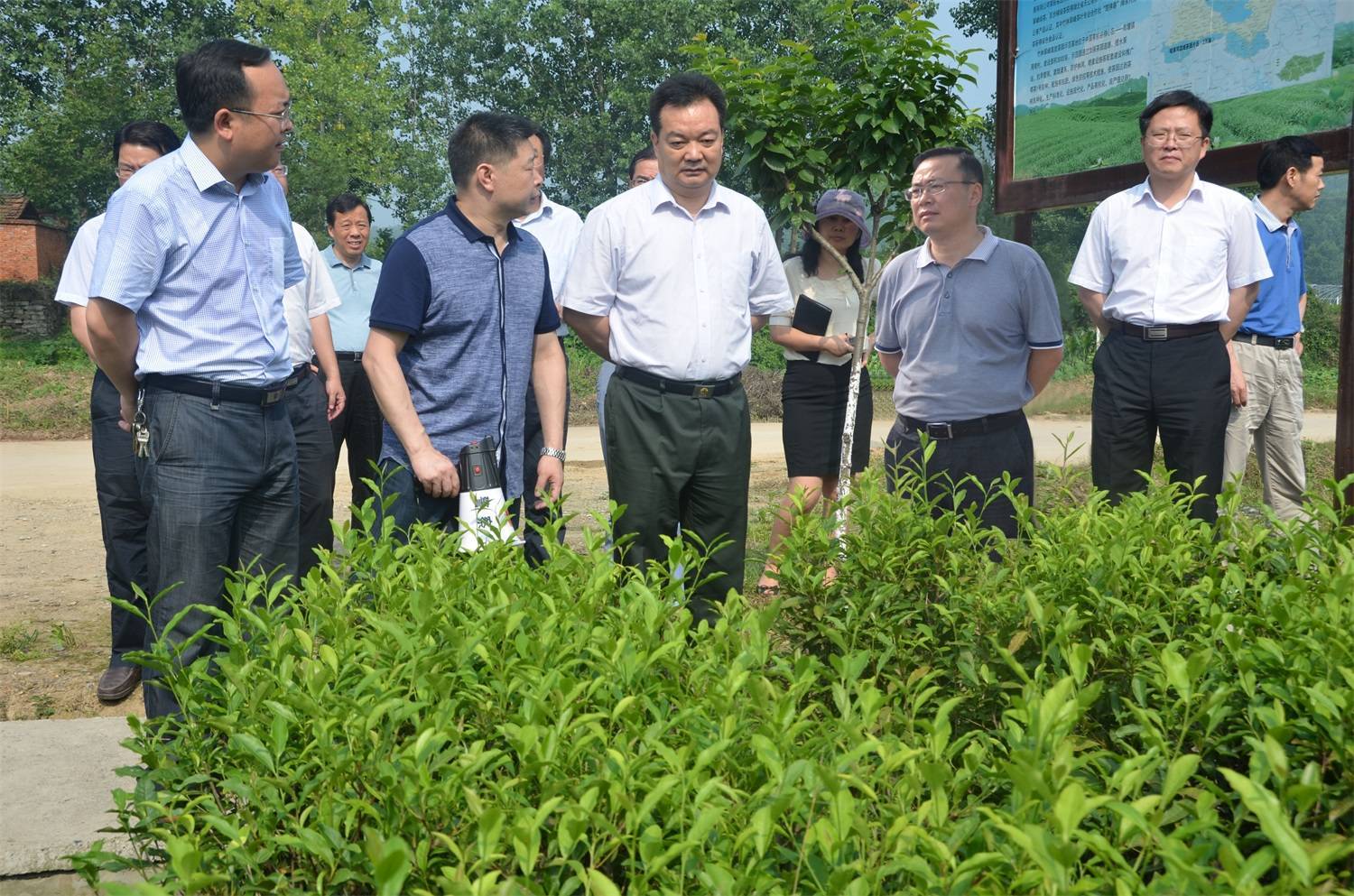 2015年7月時任襄陽市副市長沈學軍調研水鏡茶業產品