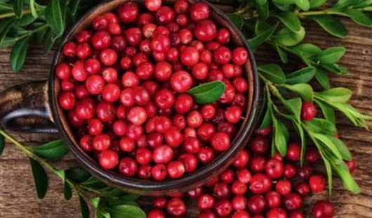 New cranberry taste sweet and sour