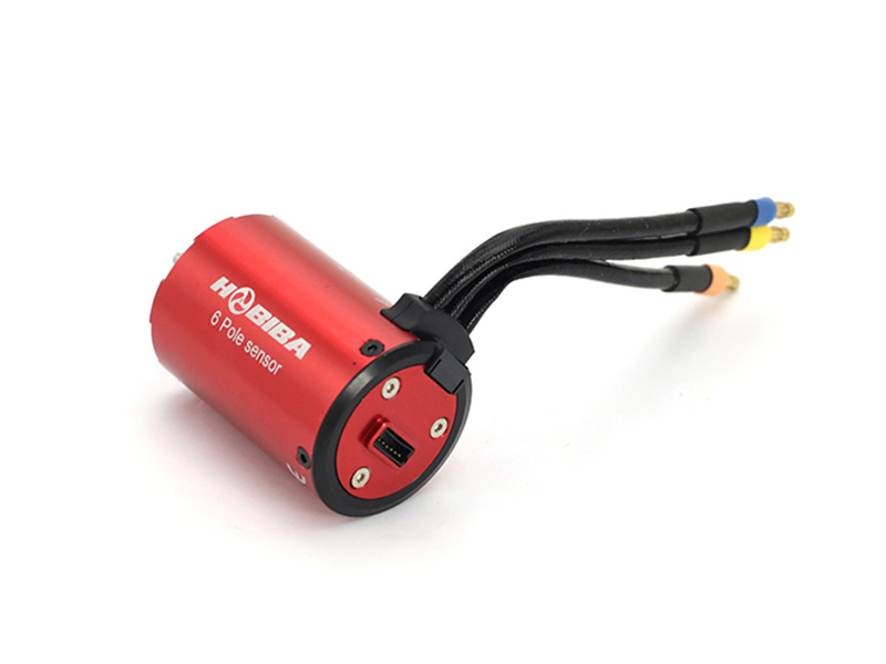 HBS42 6 pole RC Car Motor