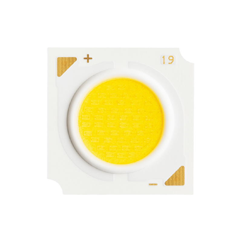 GSCOBWX-600W24-V21 GSCOBWX-600W24-V21