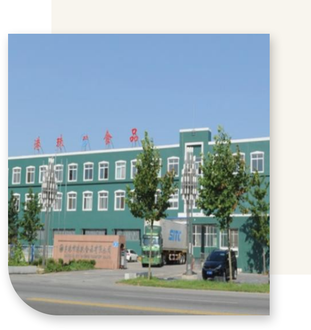 关于hjc黄金城官网