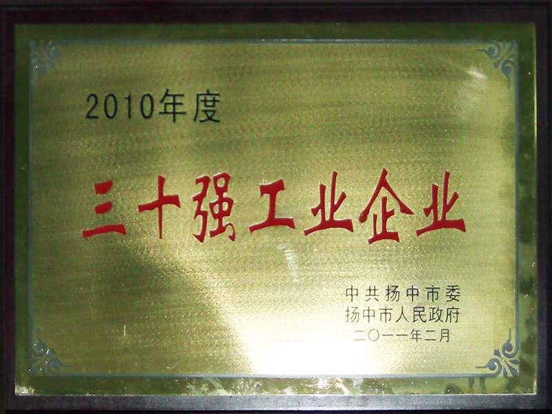 2010年度三十强工业企业