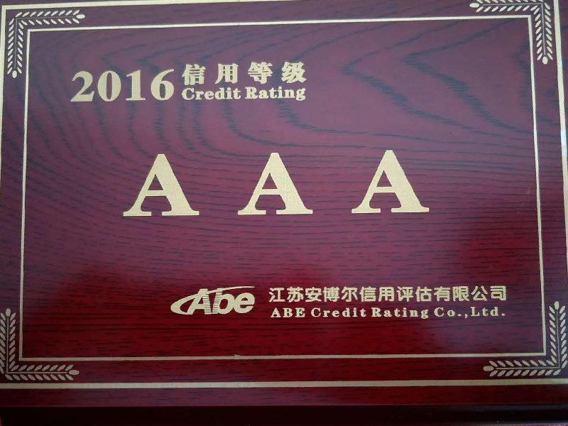 2016 credit rating