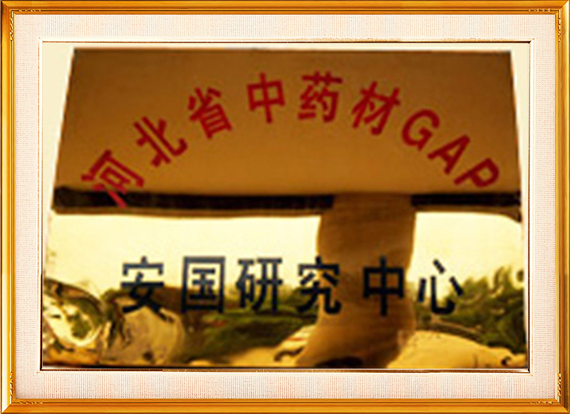 資質(zhì)榮譽(yù) 資質(zhì)榮譽(yù)