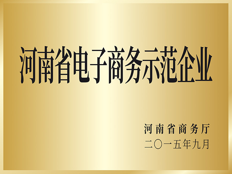 河南省電子商務示范企業(yè)