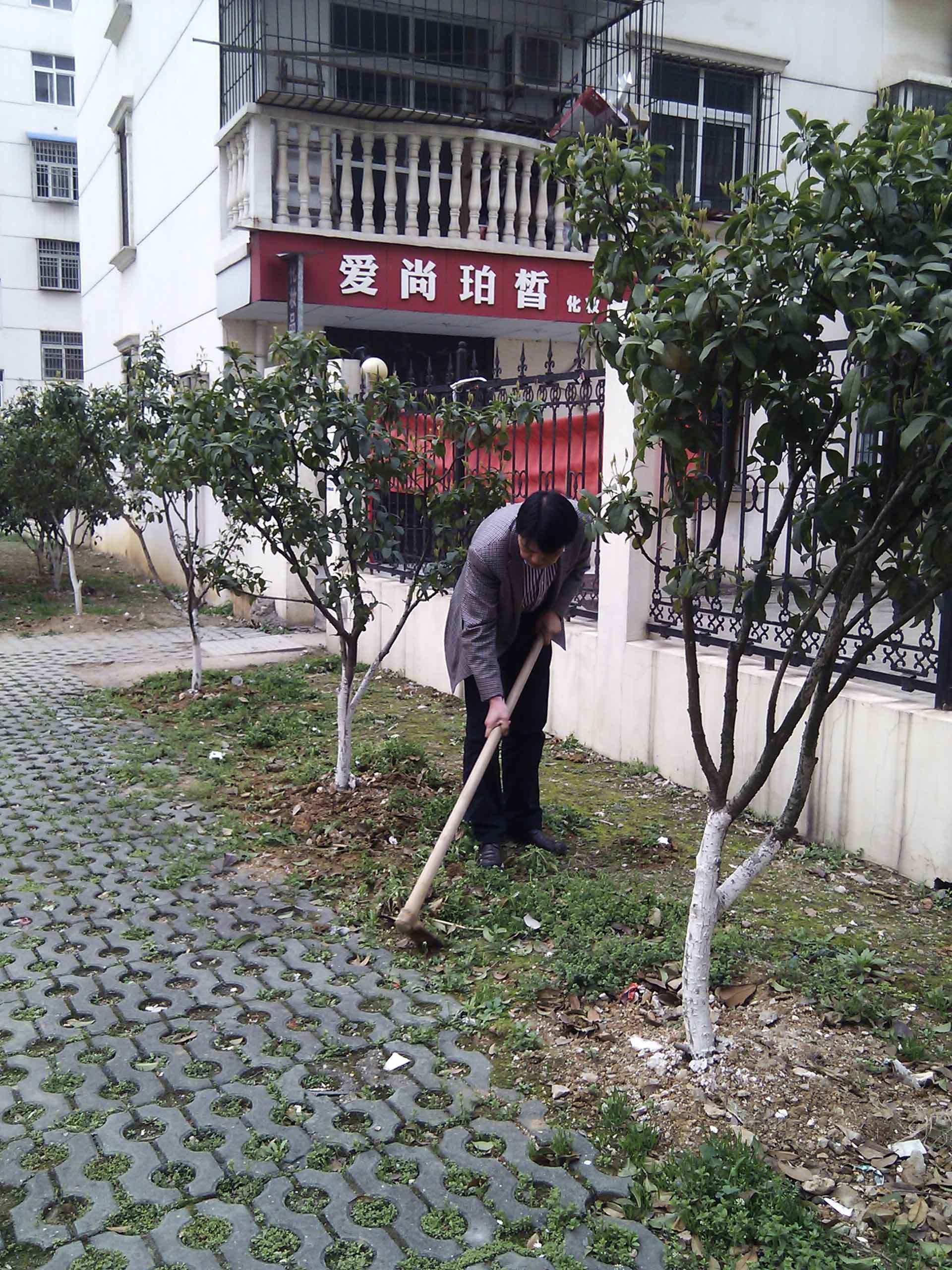 物业公司经理认真培土