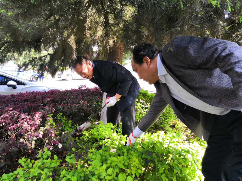  清洁村湾迎军运