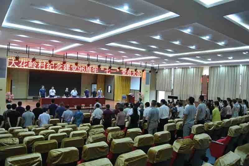 大花岭村7.1党会