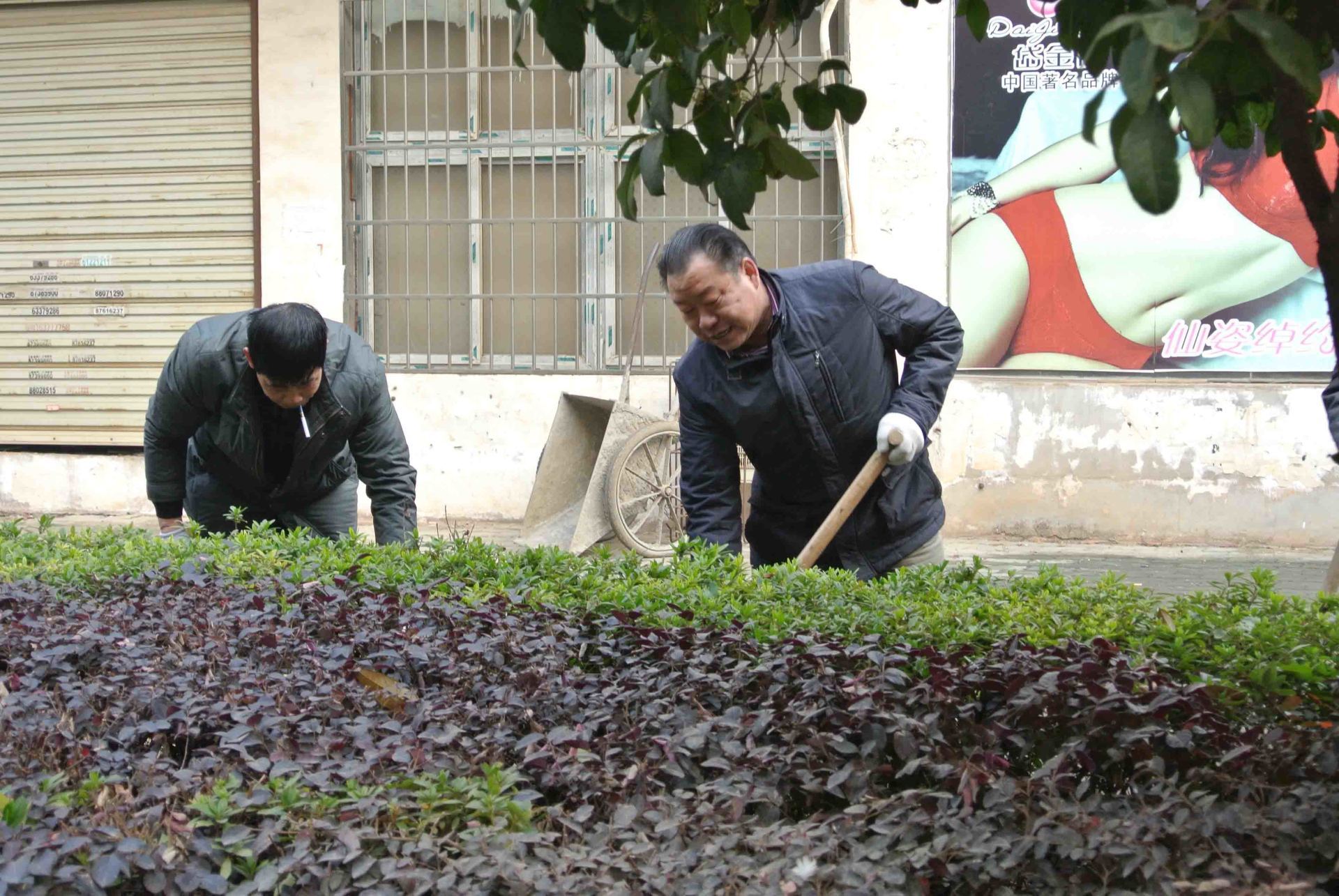 村委林主任带领装饰公司劳动