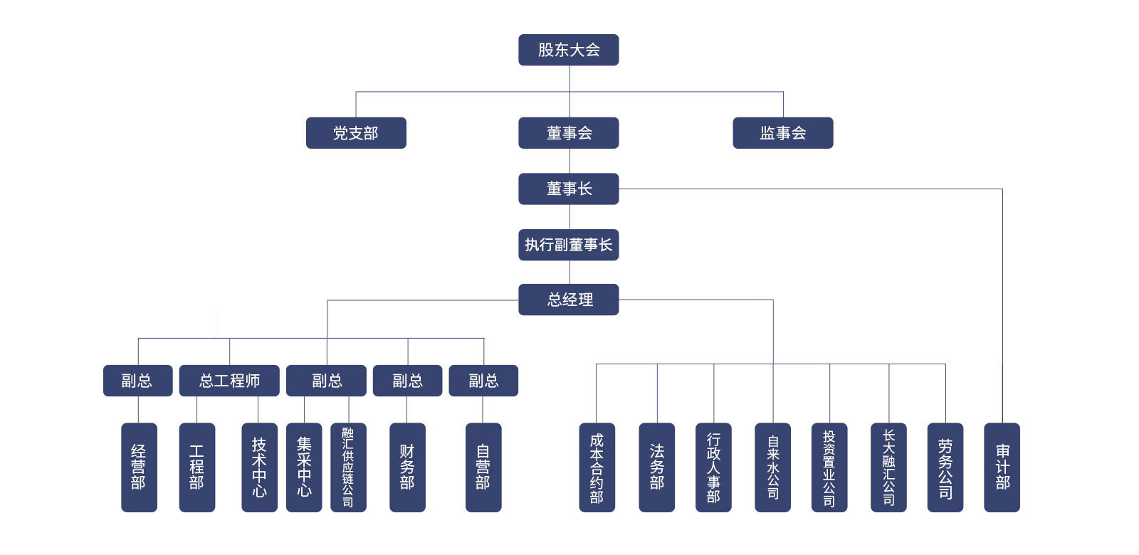 湖南長大建設集團股份有限公司-組織架構