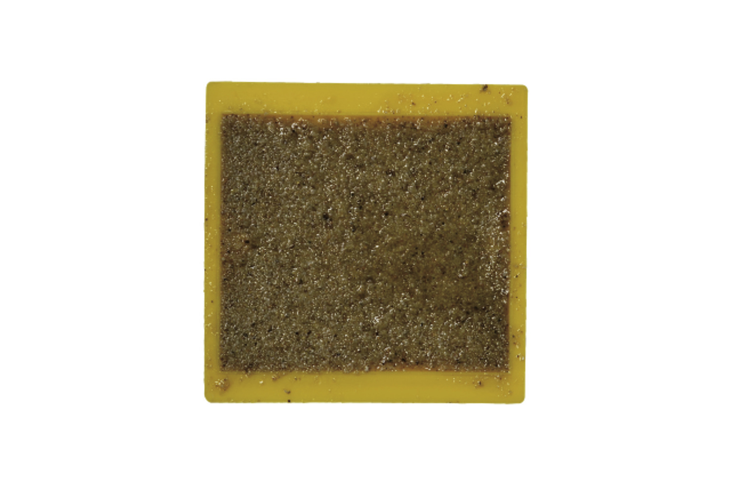 Plastic Raised Pavement Markers