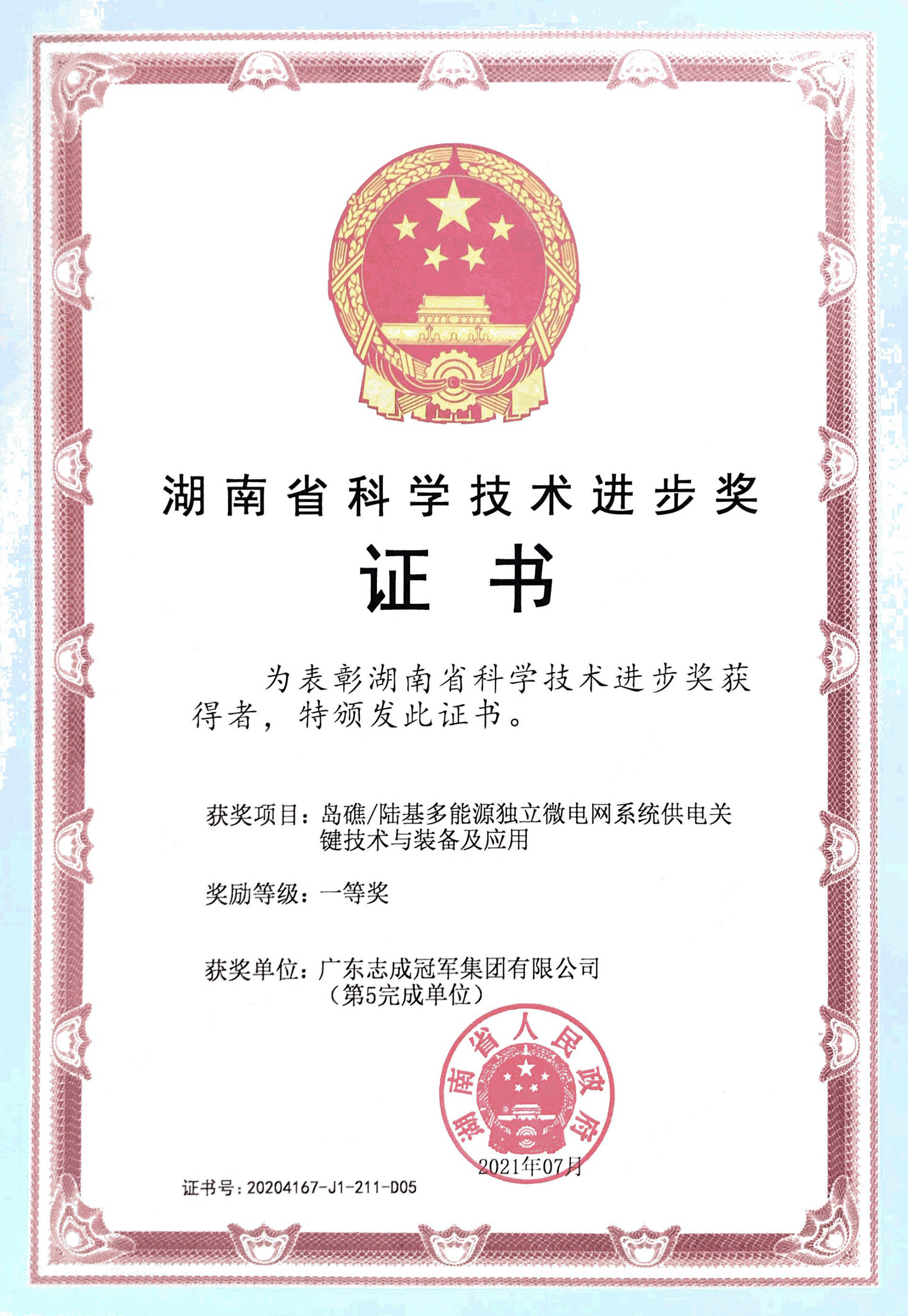 湖南省科學技術進步獎一等獎