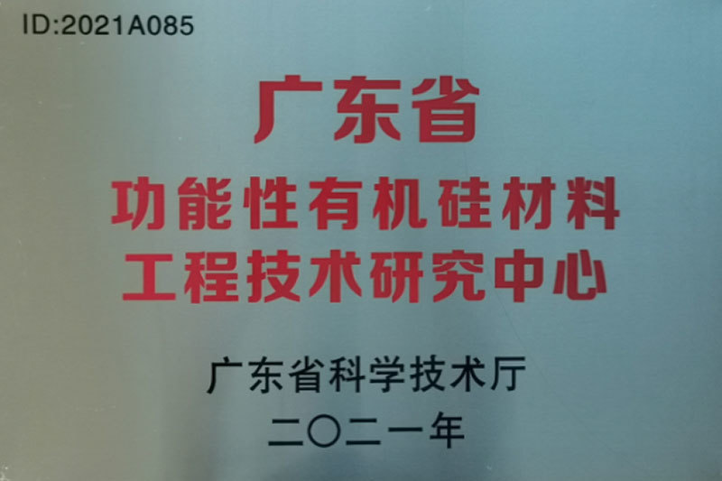 廣東省功能性有機(jī)硅材料工程技術(shù)研究中心