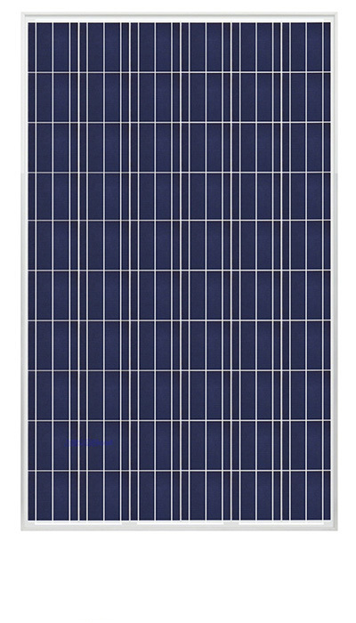 Polycrystalline Solar Module 60CELL (265/275W)/120 HALF CELL（275-295W）