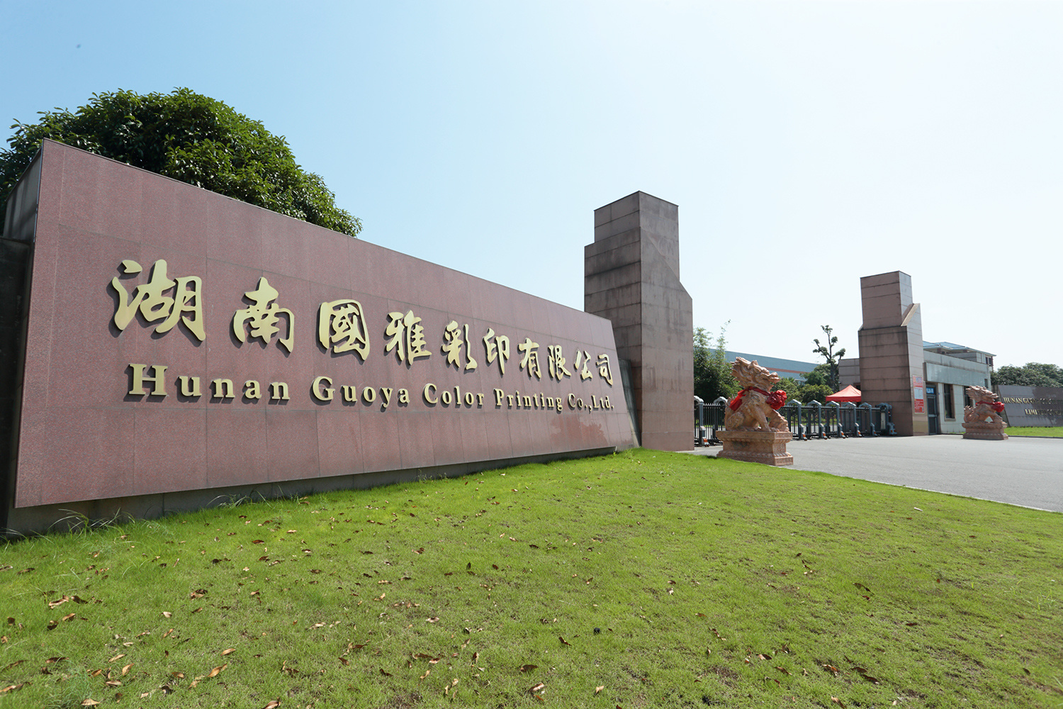 91麻豆视频