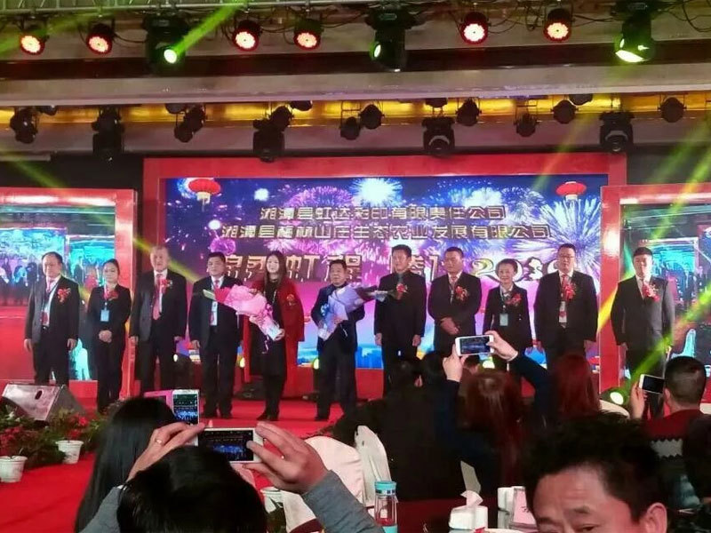 91麻豆视频