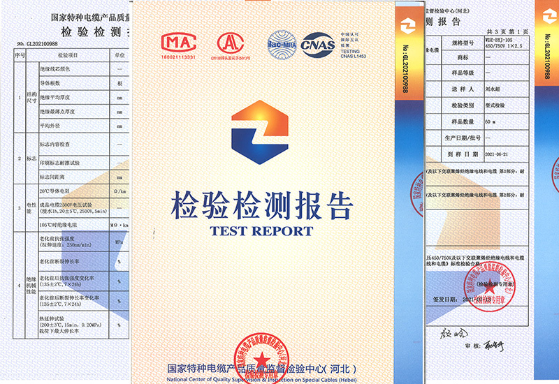 Wdz-byj Quality inspection Report