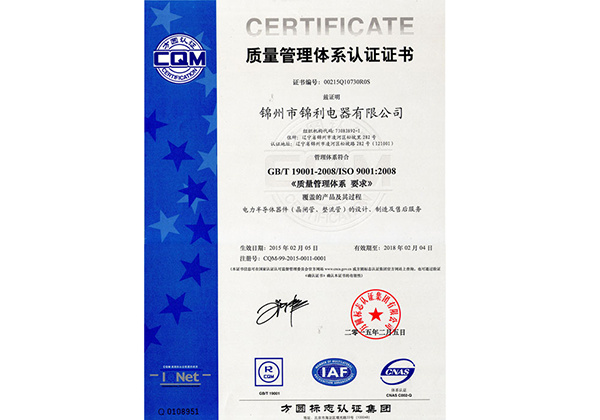 9001 certificate Chinese version