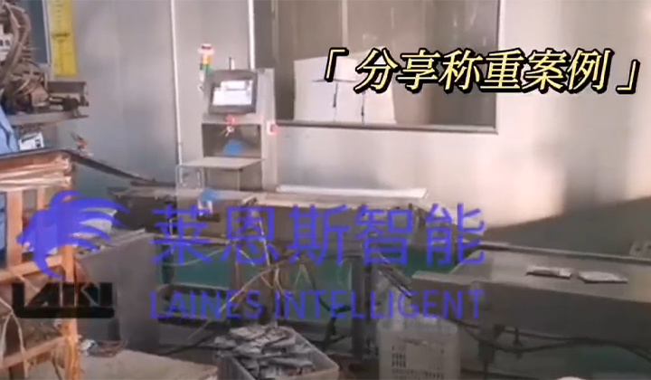 袋装调料自动检重视频
