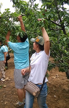 大连保税区科利德化工科技开发有限公司