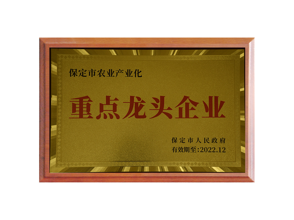 Honor