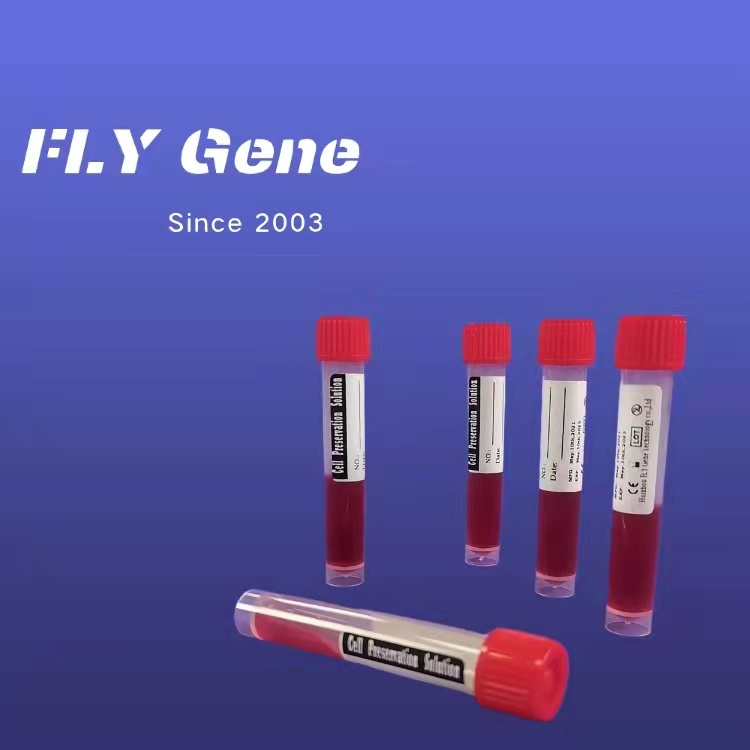 HPV