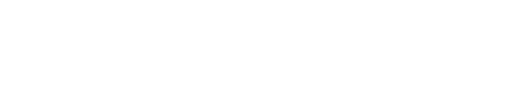 成功案例
