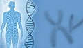 IVDR in light of the COVID pandemic: the near future of in vitro diagnostic testing