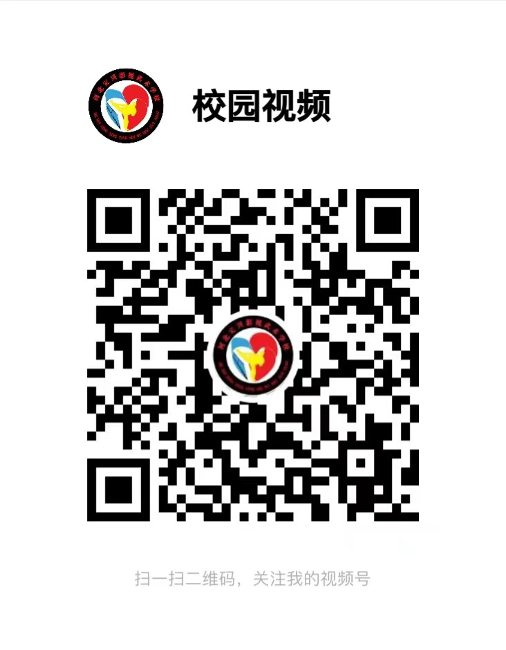 视频