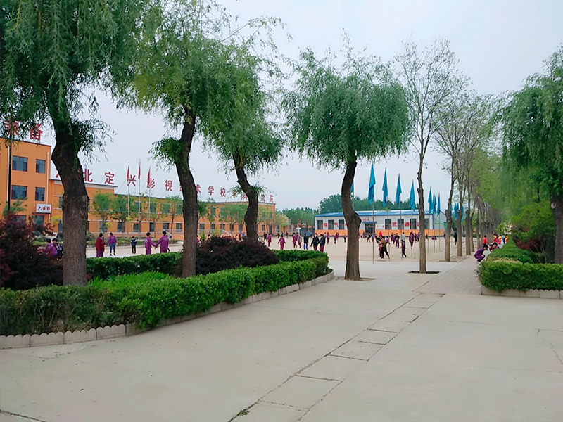 学校环境