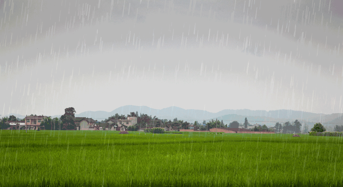 如何通过雨水情数据分析提高灾害预警的准确性？