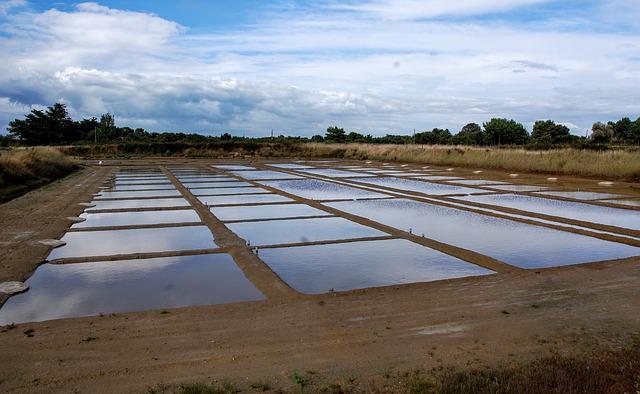 如何提高农村地区的水资源管理和利用效率？