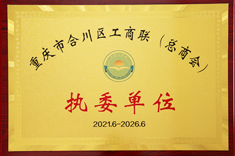 2021 重庆市合川区工商联 （总商会） 执委单位