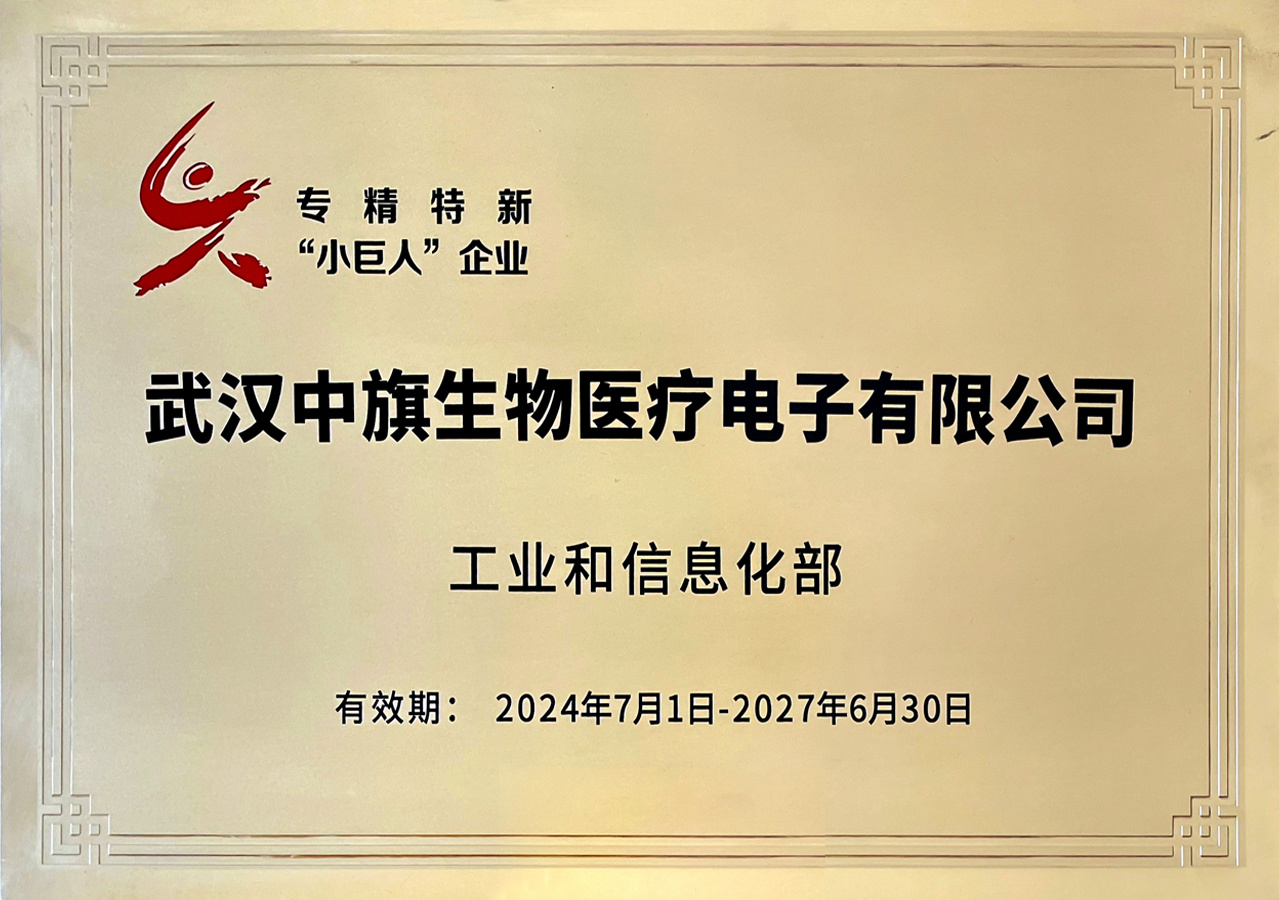 国家级专精特新“小巨人”企业